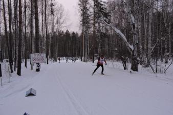 День зимних видов спорта