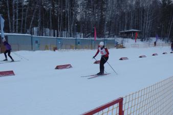 День зимних видов спорта