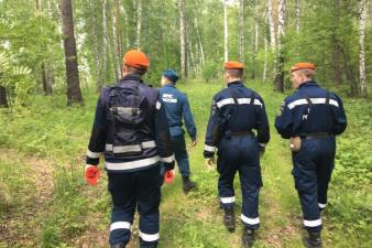 Поиски пропавшего мальчика продолжаются