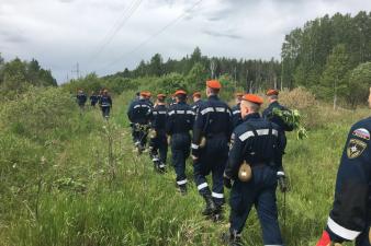 Поиски пропавшего мальчика продолжаются