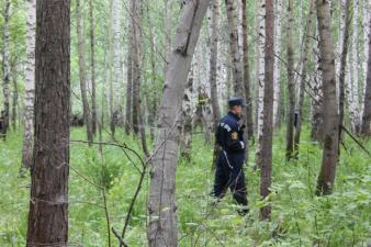 После объявленного перерыва поиски возобновились