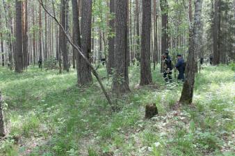 После объявленного перерыва поиски возобновились