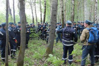 После объявленного перерыва поиски возобновились