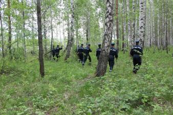 После объявленного перерыва поиски возобновились