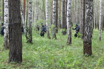 После объявленного перерыва поиски возобновились