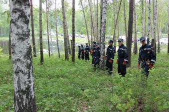 После объявленного перерыва поиски возобновились